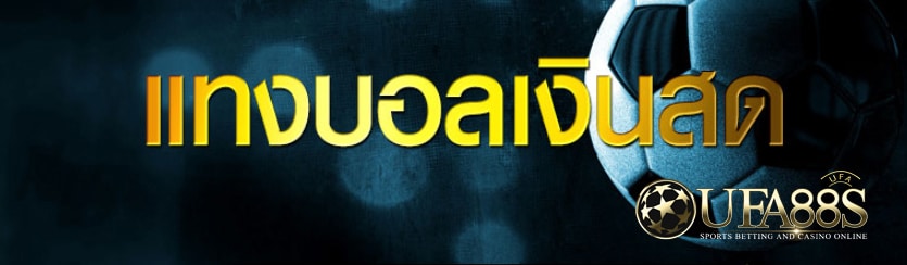 แทงบอลออนไลน์365